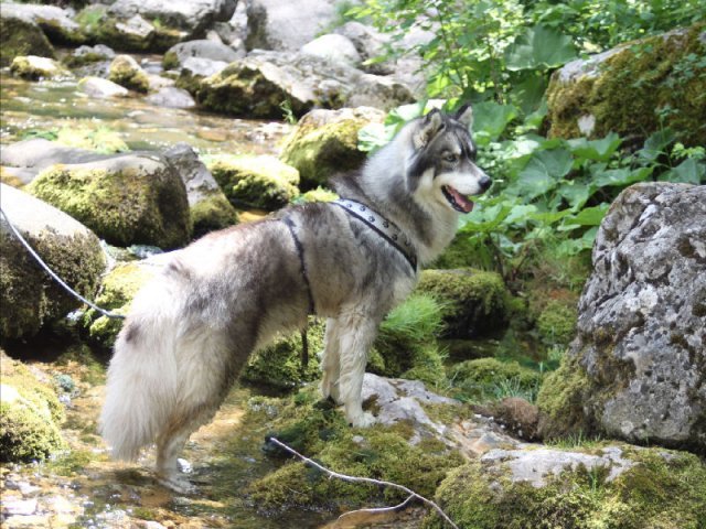 Vacances de Crypton, Polaire et Flosh - part1