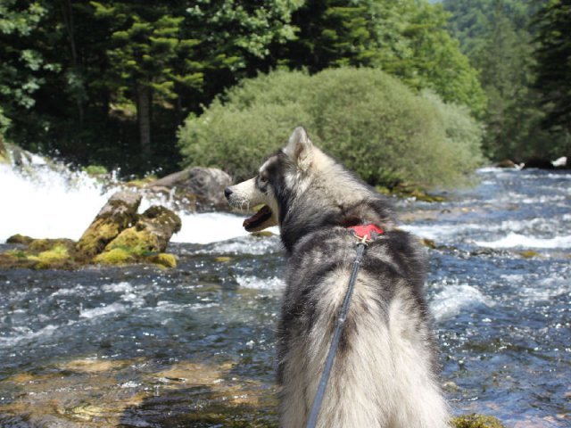 Vacances de Crypton, Polaire et Flosh - part1