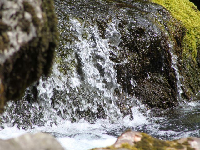 Vacances de Crypton, Polaire et Flosh - part1