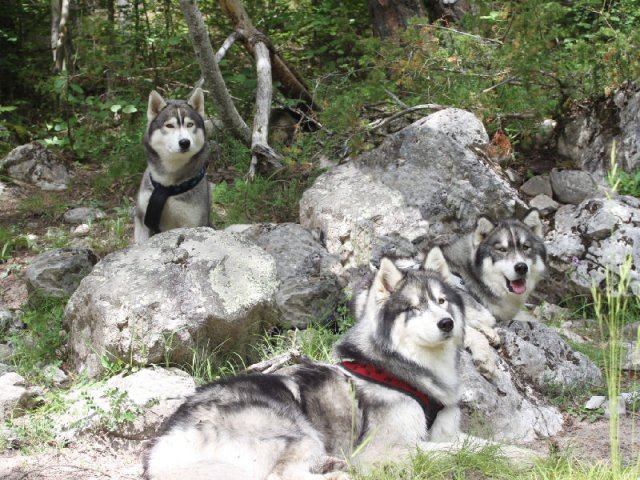 Vacances de Crypton, Polaire et Flosh - part1