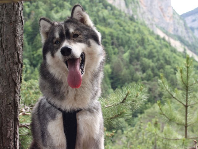 Vacances de Crypton, Polaire et Flosh - part1