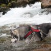 Vacances de Crypton, Polaire et Flosh - part2