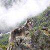 Vacances de Crypton, Polaire et Flosh - part2