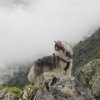 Vacances de Crypton, Polaire et Flosh - part2