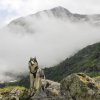 Vacances de Crypton, Polaire et Flosh - part2