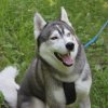 Vacances de Crypton, Polaire et Flosh - part2