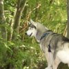 Vacances de Crypton, Polaire et Flosh - part2