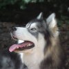 Vacances de Crypton, Polaire et Flosh - part2