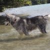 Vacances de Crypton, Polaire et Flosh - part2