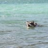Vacances de Crypton, Polaire et Flosh - part2
