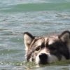 Vacances de Crypton, Polaire et Flosh - part2