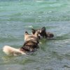 Vacances de Crypton, Polaire et Flosh - part2
