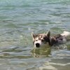 Vacances de Crypton, Polaire et Flosh - part2