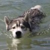 Vacances de Crypton, Polaire et Flosh - part2