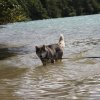 Vacances de Crypton, Polaire et Flosh - part2