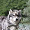 Vacances de Crypton, Polaire et Flosh - part2