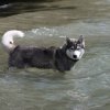 Vacances de Crypton, Polaire et Flosh - part2