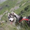 Vacances de Crypton, Polaire et Flosh - part2