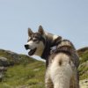 Vacances de Crypton, Polaire et Flosh - part2