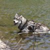 Vacances de Crypton, Polaire et Flosh - part2