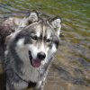 Vacances de Crypton, Polaire et Flosh - part2