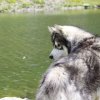 Vacances de Crypton, Polaire et Flosh - part2