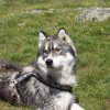 Vacances de Crypton, Polaire et Flosh - part2