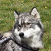 Vacances de Crypton, Polaire et Flosh - part2