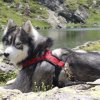 Vacances de Crypton, Polaire et Flosh - part2