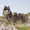 Vacances de Crypton, Polaire et Flosh - part2