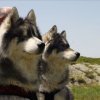 Vacances de Crypton, Polaire et Flosh - part2