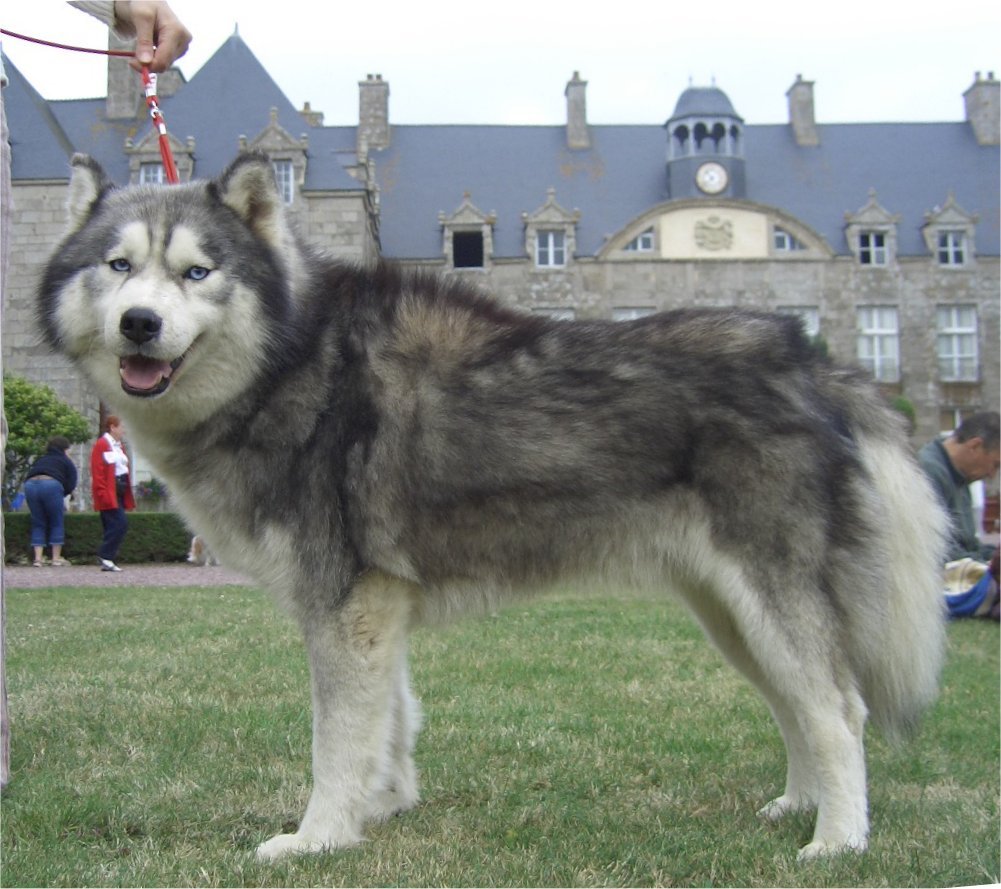 etoile polaire flamanville profil2