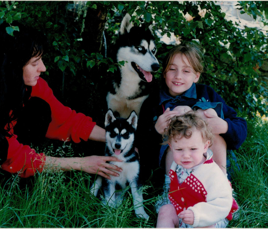 haltair chiots archives