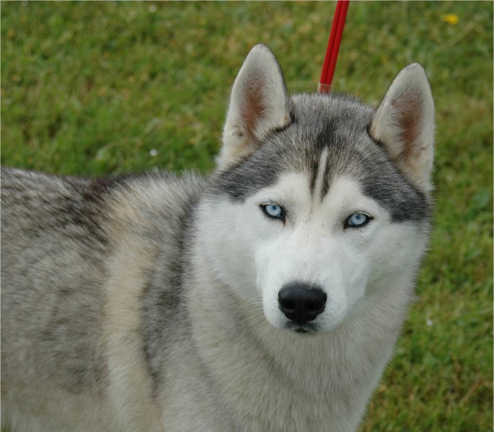 liubov's Aries à Rochefort