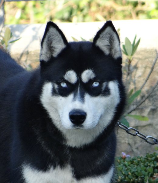 liubov's inja 10 mois f