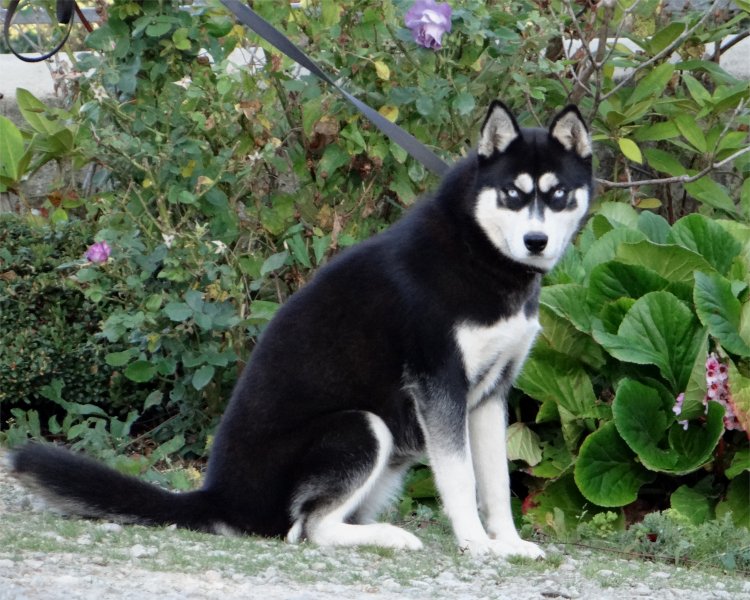 liubov's inja 10 mois