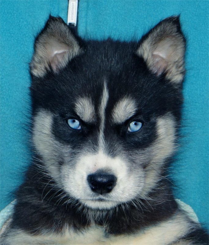 liubov's inja 2 mois