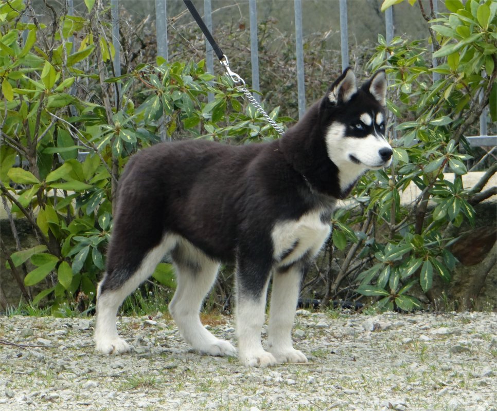 liubov's inja 4,5 mois