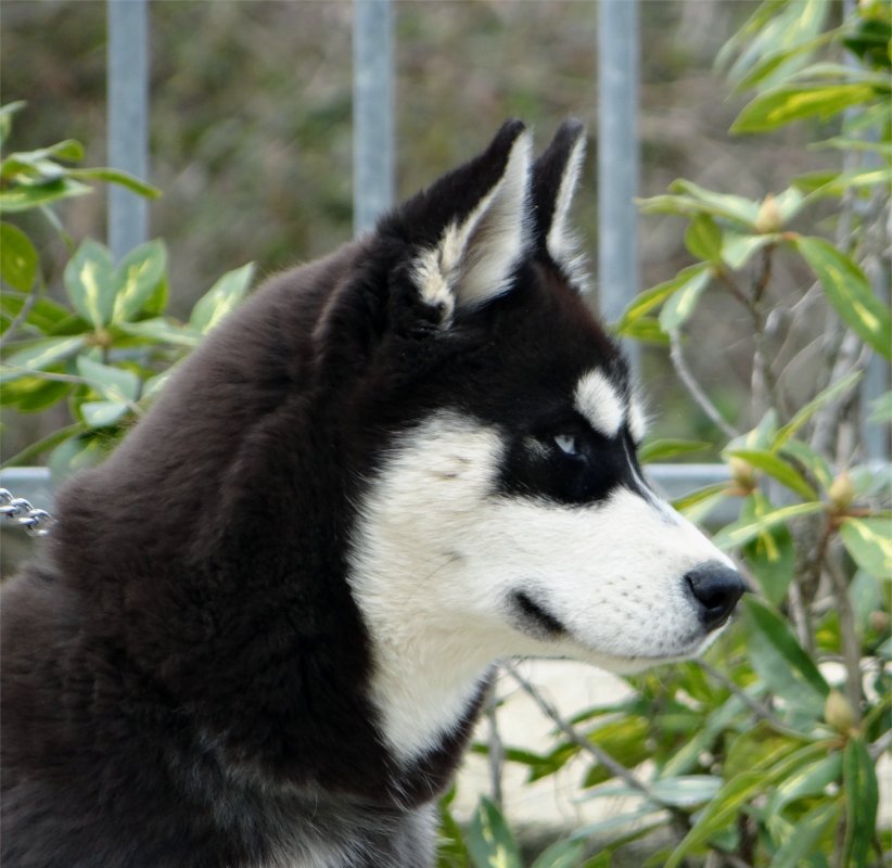 liubov's inja 4,5 mois