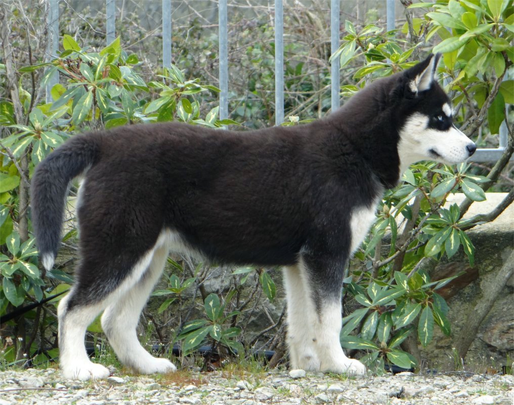 liubov's inja 4,5 mois