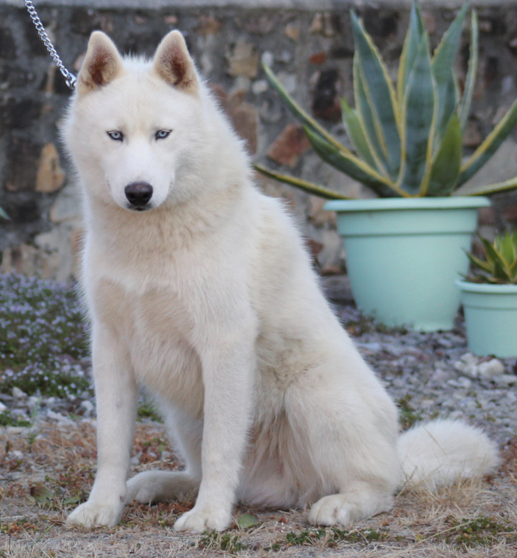 liubovs antares 9 mois