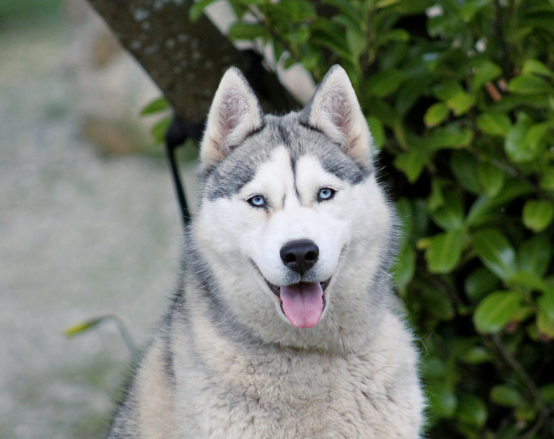 liubovs morphee fbaseb