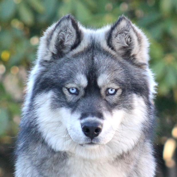 evolution minuit 10 mois