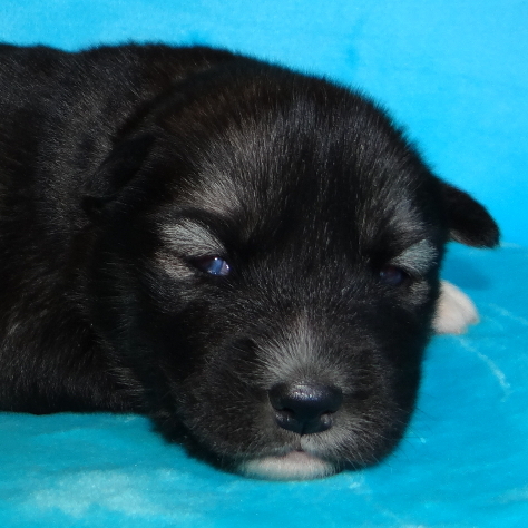 evolution minuit 2sem