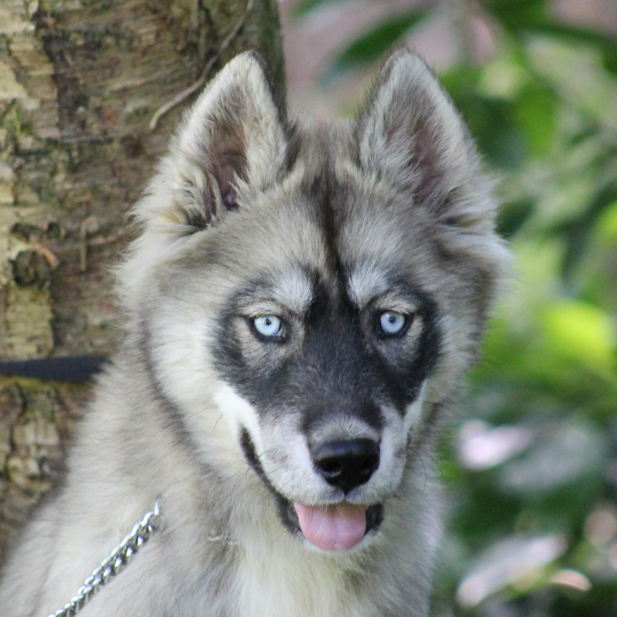 evolution minuit 4mois