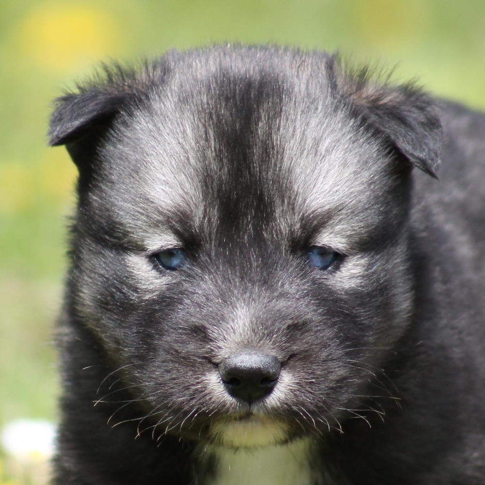 evolution minuit 4sem