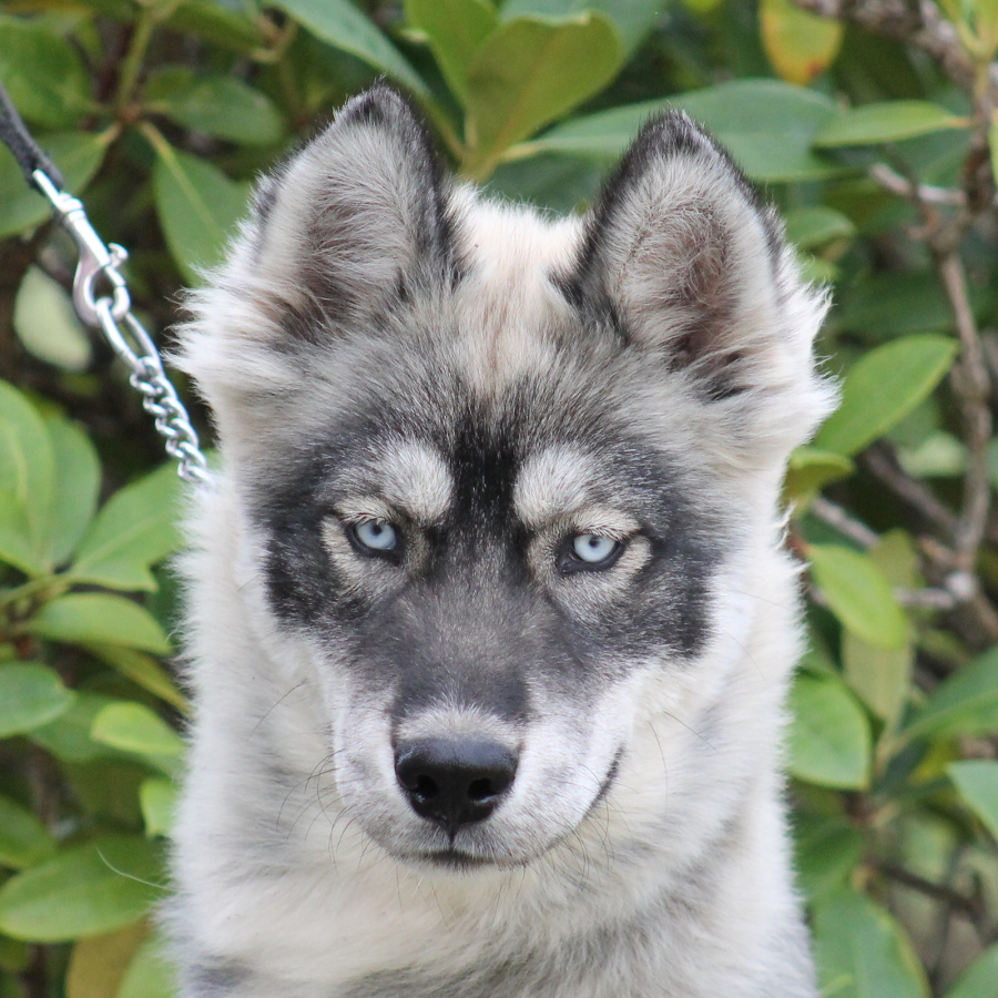 evolution minuit 5 mois