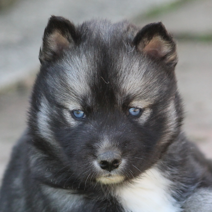 evolution minuit 5sem