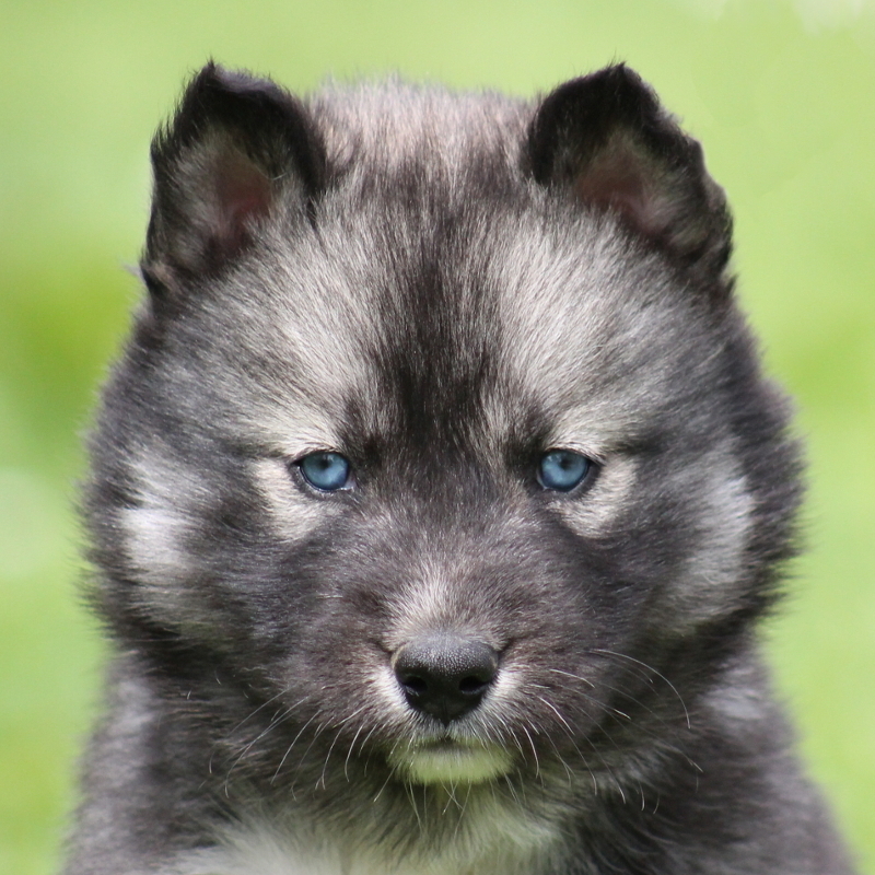 evolution minuit 6sem