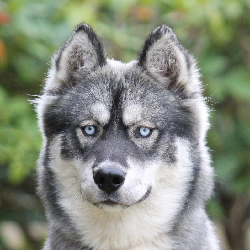 evolution minuit 7mois